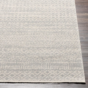 Livabliss Lavadora Lvr-2319 Bohemian Global Machine Woven Polyester Runner Rug for Hallways Gray, Light Gra 5'3" x 7' LVR2319-537