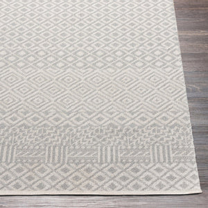 Livabliss Lavadora Machine Woven Polyester Area Rug Bohemian Global Pattern for Living Rooms Gray, Light Gra 9'2" x 12' LVR2321-9312