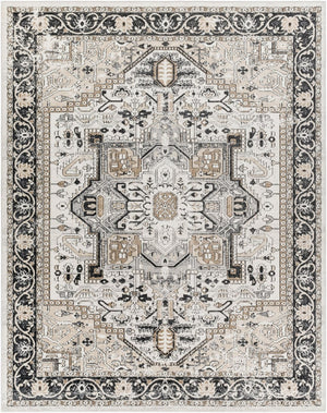 Livabliss Lavadora Machine Woven Polyester Runner Rug Traditional Pattern for Hallway or Entryway Black, Taupe 7'10" x 10' LVR2322-71010