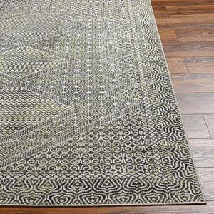 Livabliss Lavadora Global Bohemian Polyester Runner Rug for Hallways and Entryways Low Pile LVR2328-2773
