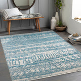 Lavadora LVR-2332 7'10" x 10' Machine Woven Rug LVR2332-71010 Livabliss Surya