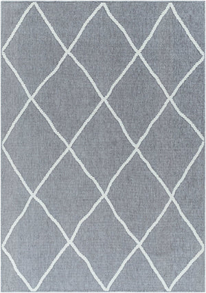 Livabliss Lyna Global Pattern Machine Woven Polypropylene Blend Medium Pile Indoor Rug LYA2304-335