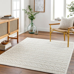 Livabliss Lyna Cottage Inspired Machine Woven Polypropylene Area Rug for Entryways and Small Spaces White, White 2' x 2'10" LYA2315-2210