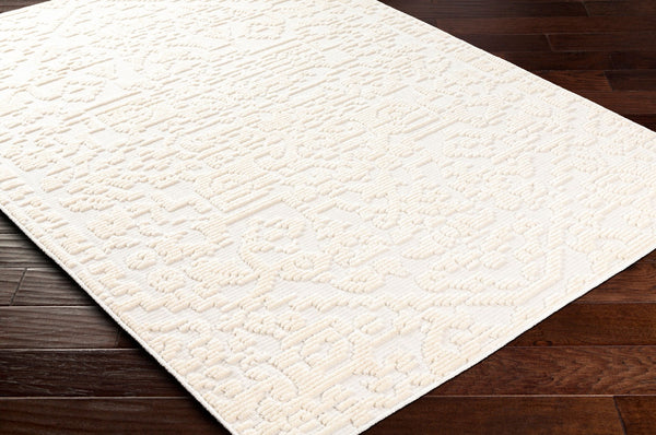 Livabliss Lyna Cottage Style Machine Woven Area Rug Soft Polypropylene Blend for Entryways White, White 2' x 2'10" LYA2318-2210