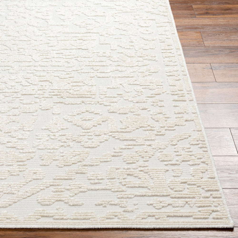 Livabliss Lyna Cottage Style Machine Woven Area Rug Soft Polypropylene Blend for Entryways White, White 2'7" x 7'2" LYA2318-2772