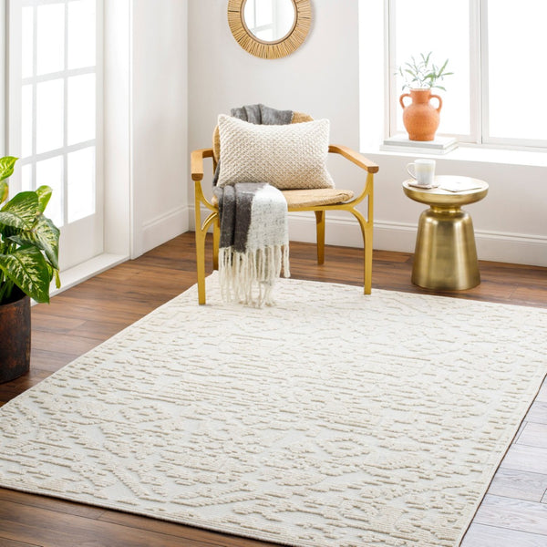 Livabliss Lyna Cottage Style Machine Woven Area Rug Soft Polypropylene Blend for Entryways White, White 2' x 2'10" LYA2318-2210