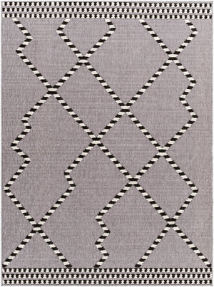 Livabliss Lyna Farmhouse Cottage Area Rug Soft Plush Pile Turkey Woven Polypropylene Accent LYA2320-335