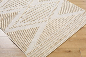 Livabliss Lyna Bohemian Global Machine Woven Accent Rug Soft Chenille Polypropylene Entryway Mat Beige, Light Br 5' x 7'2" LYA2339-572