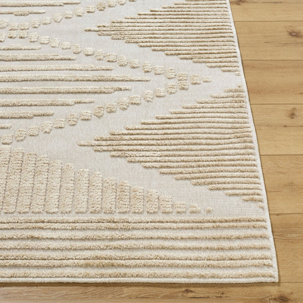 Livabliss Lyna Bohemian Global Machine Woven Accent Rug Soft Chenille Polypropylene Entryway Mat Beige, Light Br 5' x 7'2" LYA2339-572