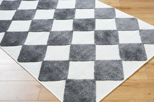 Livabliss Lyna Art Deco Machine Woven Polypropylene Chenille Rug for Entryways and Bathrooms White, Charcoal 2'7" x 7'2" LYA2350-2772
