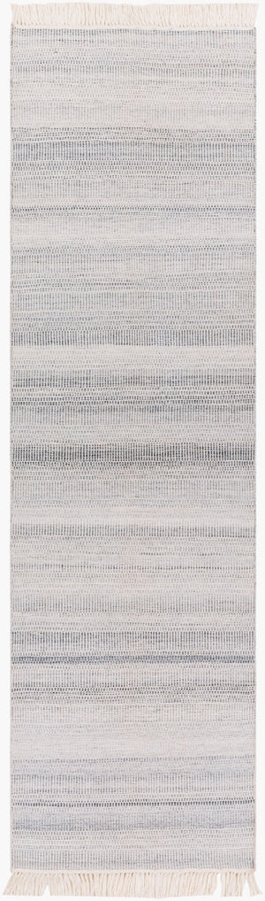 Surya Lily Eco-friendly 10' X 14' Hand-woven Area Rug For Modern Homes - Durable, Stylish, Easy Care Light Beige Recycled Pet Yarn Lyi2300-268