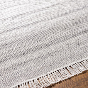 Surya Lily Eco-friendly 10' X 14' Hand-woven Area Rug For Modern Homes - Durable, Stylish, Easy Care Light Beige Recycled Pet Yarn Lyi2300-810