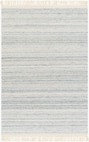 Surya Lily Eco-friendly 10' X 14' Hand-woven Area Rug For Modern Homes - Durable, Stylish, Easy Care Beige Recycled Pet Yarn Lyi2305-23