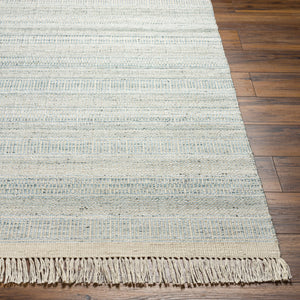 Lily LYI-2305 9' x 12' Handmade Rug LYI2305-912  Beige, Ice Blue, Pale Blue, Light Blue Surya