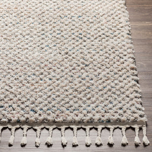 Livabliss Lyon Plush Polyester Area Rug with Fringe Edges for Modern Living Rooms LYN2304-912