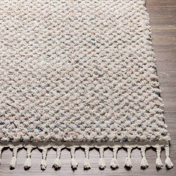 Livabliss Lyon Plush Polyester Area Rug with Fringe Edges for Modern Living Rooms LYN2304-912