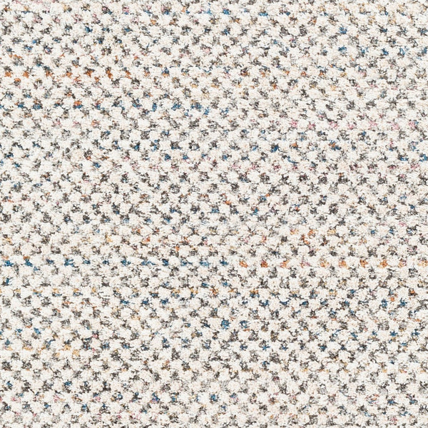 Livabliss Lyon Plush Polyester Area Rug with Fringe Edges for Modern Living Rooms LYN2304-912