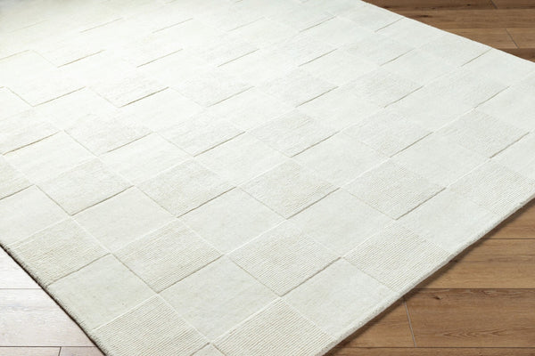 Livabliss Mystique Hand Loomed Wool Accent Rug Artisan Crafted for Entryways and Cozy Nooks Ivory, Pearl 2' x 3' M5473-23
