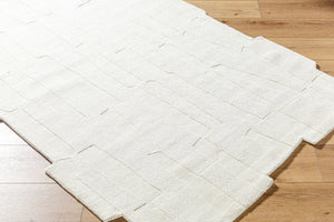 Livabliss Mystique Hand Loomed Wool Accent Rug Plush Medium Pile for Entryway or Home Office Ivory, Cream 2' x 3' M5489-23