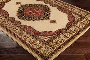 Livabliss Marash Medallion Polypropylene Area Rug Machine Woven in Turkey for Large Living Rooms MAH4603-93126