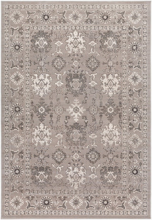 Livabliss Mavrick Traditional Machine Woven Polypropylene Area Rug for Living and Dining Rooms MAV7015-6898