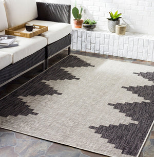 Livabliss Malibu Flatweave Indoor Outdoor Area Rug Polypropylene Patio Entryway Low Profile MBU2314-679