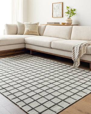 Livabliss Marcela Handwoven Wool Flatweave Rug Artisan Crafted for Entryways and Small Spaces Ivory, Charcoal 5' x 7'6" MCL2302-576