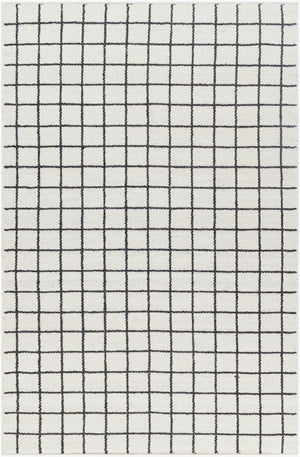 Livabliss Marcela Handwoven Wool Flatweave Rug Artisan Crafted for Entryways and Small Spaces Ivory, Charcoal 5' x 7'6" MCL2302-576