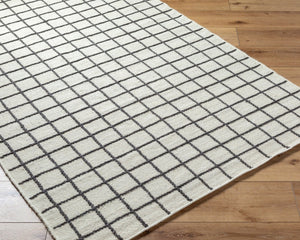 Livabliss Marcela Handwoven Wool Flatweave Rug Artisan Crafted for Entryways and Small Spaces Ivory, Charcoal 5' x 7'6" MCL2302-576
