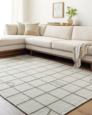 Livabliss Marcela Handwoven Wool Flatweave Rug Artisan Crafted in India for Entryways Cream, Gray 9' x 12' MCL2305-912