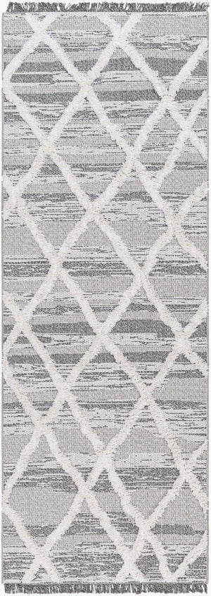 Livabliss Morocotton High Pile Cotton Runner Rug with Fringe Mediterranean Global Style MCT2306-2673