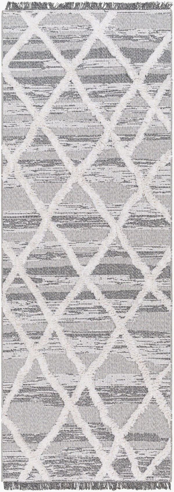 Livabliss Morocotton High Pile Cotton Runner Rug with Fringe Mediterranean Global Style MCT2306-2673