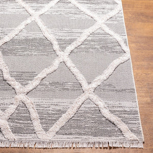 Livabliss Morocotton High Pile Cotton Runner Rug with Fringe Mediterranean Global Style MCT2306-2673