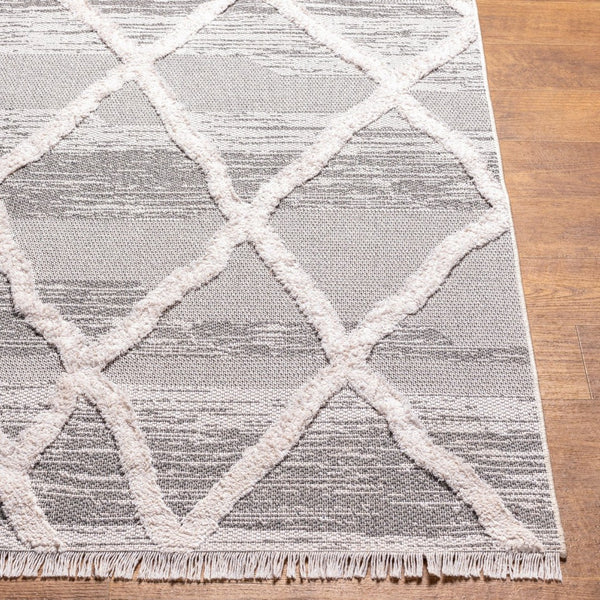 Livabliss Morocotton High Pile Cotton Runner Rug with Fringe Mediterranean Global Style MCT2306-2673