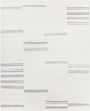 Machu Picchu MCU-1006 8'10" x 12' Handmade Rug MCU1006-81012  Light Beige, Medium Gray Surya