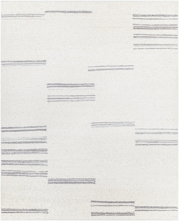 Machu Picchu MCU-1006 8'10" x 12' Handmade Rug MCU1006-81012  Light Beige, Medium Gray Surya