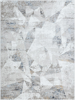 Mood MDD-2326 7'10" x 10' Machine Woven Rug MDD2326-71010 Livabliss Surya