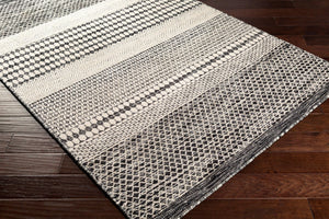 Livabliss Mardin Handmade Wool Flatweave Area Rug Artisan Woven in India for Entryways Black, Beige 3'6" x 5'6" MDI2306-3656