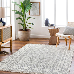Livabliss Mardin Handwoven Wool Flatweave Accent Rug with Fringe Global Bohemian Artisan Style Beige, Gray 3'6" x 5'6" MDI2317-3656