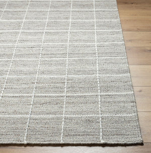Livabliss Mardin Handwoven Wool Flatweave Accent Rug for Entryways Bathrooms and Bedside Areas Ivory, Tan 2'6" x 8' MDI2326-268