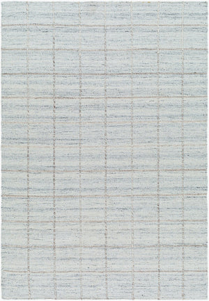 Livabliss Mardin Handwoven Wool Flatweave Rug for Entryways Bathrooms and Small Accent Spaces Pale Gray, Soft 8'10" x 12' MDI2330-81012