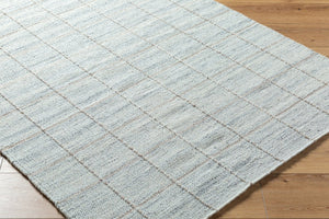 Livabliss Mardin Handwoven Wool Flatweave Rug for Entryways Bathrooms and Small Accent Spaces Pale Gray, Soft 8'10" x 12' MDI2330-81012