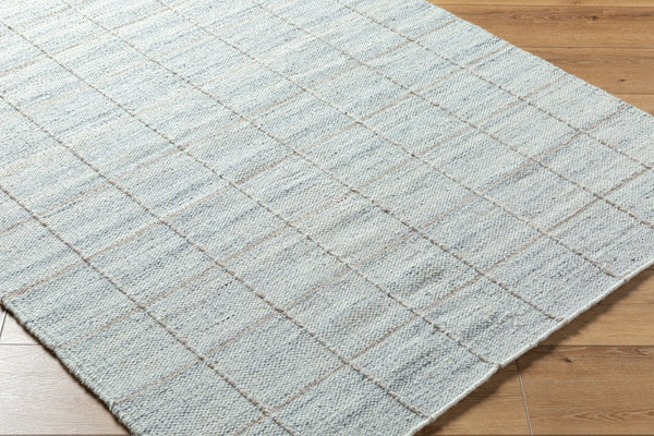 Livabliss Mardin Handwoven Wool Flatweave Rug for Entryways Bathrooms and Small Accent Spaces Pale Gray, Soft 8'10" x 12' MDI2330-81012