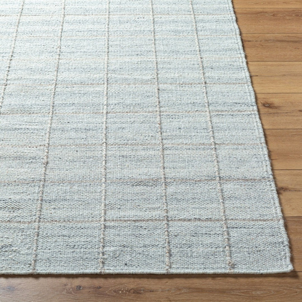 Livabliss Mardin Handwoven Wool Flatweave Rug for Entryways Bathrooms and Small Accent Spaces Pale Gray, Soft 8'10" x 12' MDI2330-81012