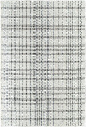 Livabliss Mardin Handwoven Wool Flatweave Rug Artisan Accent for Entryways and Small Spaces Ivory 5' x 7'6" MDI2337-576