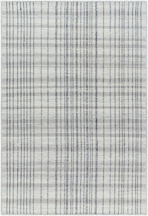 Livabliss Mardin Handwoven Wool Flatweave Accent Rug Artisan Crafted for Entryways and Small Spaces Slate Gray, Cha 8' x 10' MDI2338-810