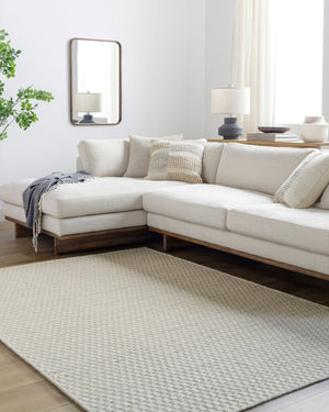 Livabliss Mardin Handmade Flatweave Wool Accent Rug Indian Artisan Craft for Entryway Layering Ivory, Cream 2'6" x 8' MDI2357-268