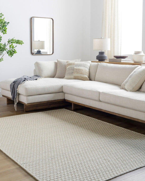 Livabliss Mardin Handmade Flatweave Wool Accent Rug Indian Artisan Craft for Entryway Layering Ivory, Cream 2'6" x 8' MDI2357-268