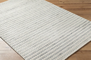 Livabliss Mardin Handwoven Wool Flatweave Rug Indian Artisan Craft for Entryways and Bedrooms Ivory, Slate Gr 5' x 7'6" MDI2358-576