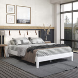 English Elm Steve Silver - Nix - Queen Platform Bed - White